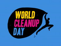 image wdc.png (0.1MB)
Lien vers: https://www.worldcleanupday.fr/