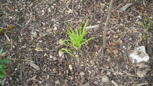 image DSCN1502.jpg (1.9MB)