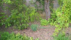 image DSCN1509.jpg (1.9MB)