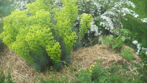 image DSCN1512.jpg (1.9MB)