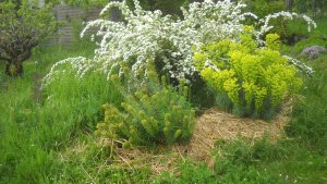 image DSCN1513.jpg (1.9MB)