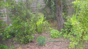 image DSCN1524.jpg (1.9MB)