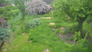 image DSCN1529.jpg (1.9MB)