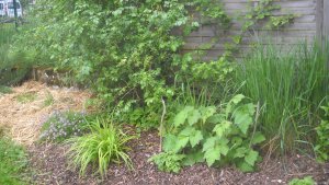 image DSCN1531.jpg (1.9MB)