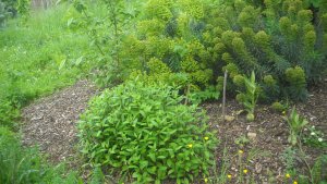 image DSCN1532.jpg (1.9MB)