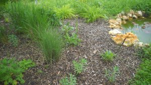 image DSCN1535.jpg (1.9MB)