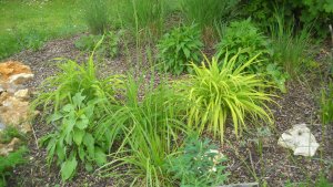 image DSCN1536.jpg (1.9MB)