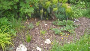 image DSCN1537.jpg (1.9MB)