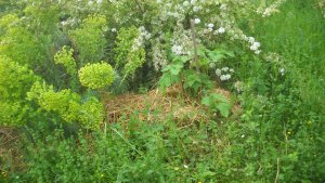 image DSCN1538.jpg (1.9MB)