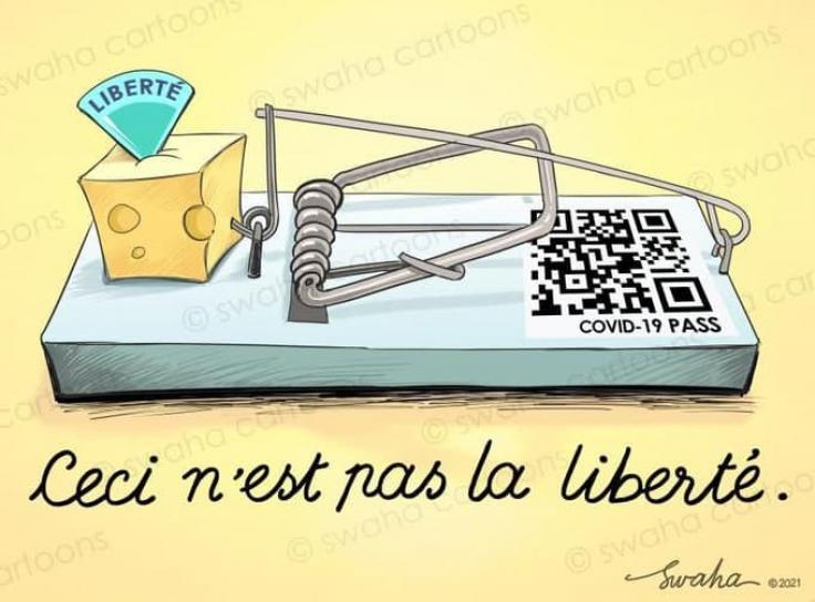 image Passpiege.jpg (38.3kB)