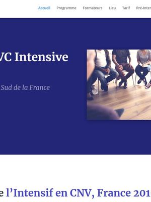 Intensif CNV en France (2019)