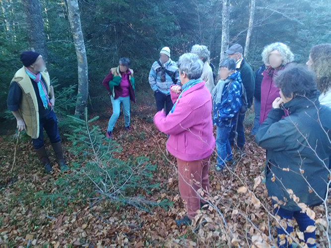 image forets25.jpg (0.4MB)