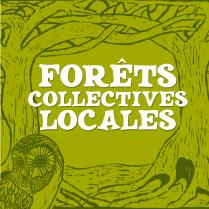 image affiche_forets_collectives_carree250429.jpg (0.9MB)