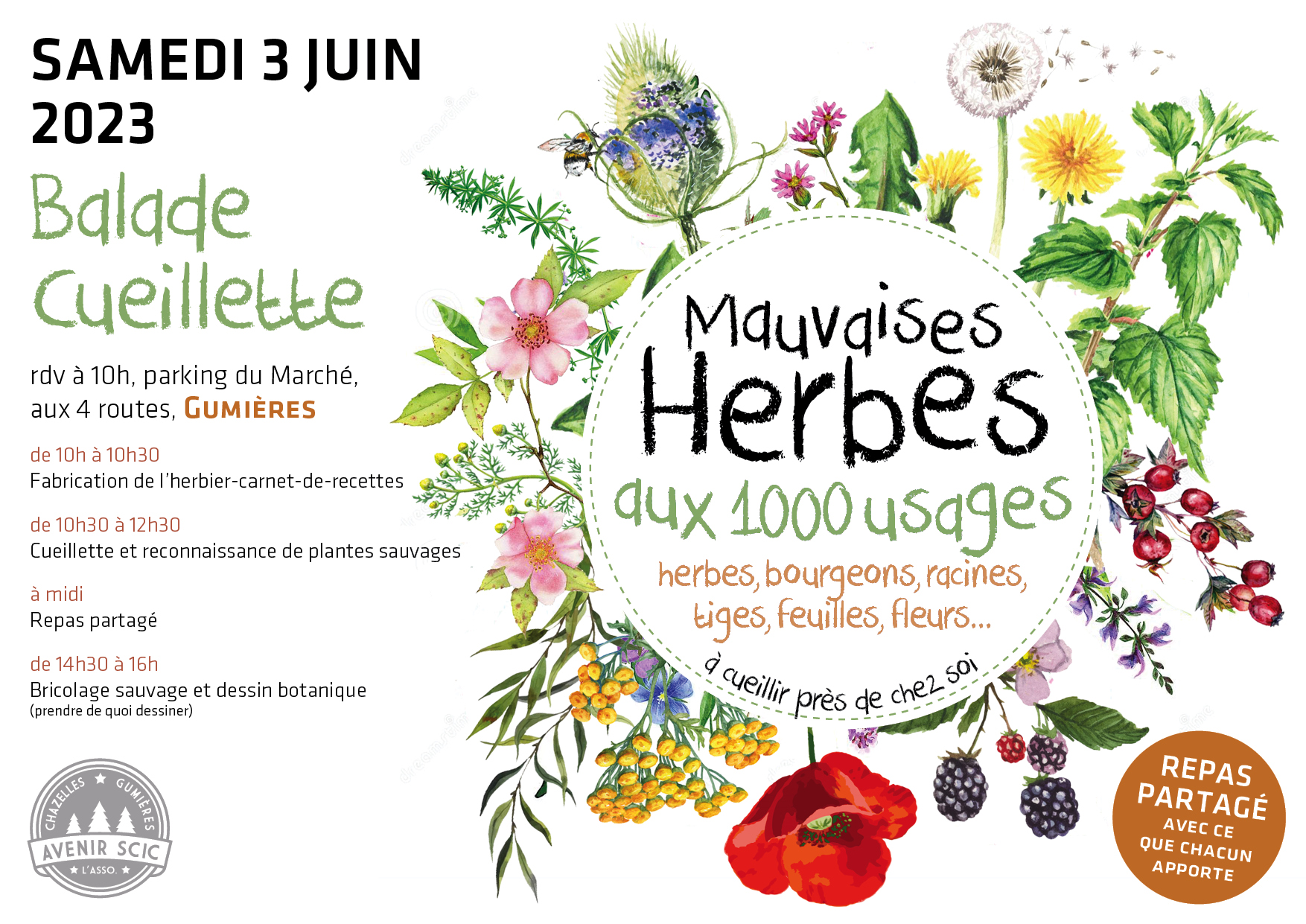 image affiche_mauvaises_herbes_H230505.jpg (1.2MB)