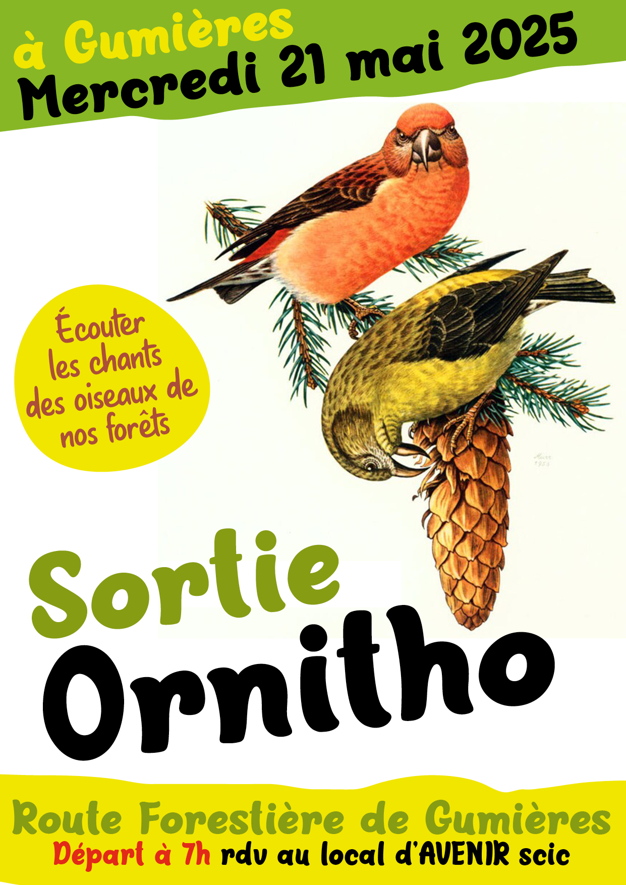 image affiche_ornithoV250429.jpg (0.9MB)