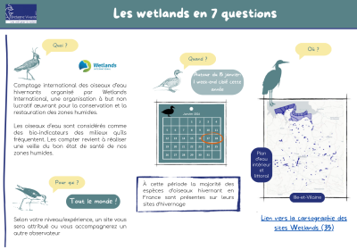 Comptage_wetlands_2026.png