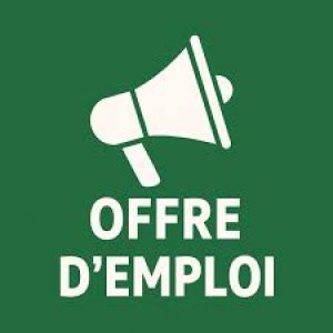 offre_emploi.jpg
