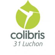 GroupeLocalColibris31Luchon_logo_31-luchon_carre.jpg