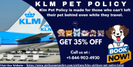 klm_pet_policy.png