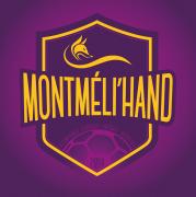 MontmeliHand_new-logo-montmeli-hand-fond-violet-copie.jpg