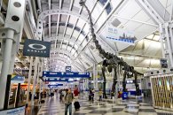 Chicago_OHare_International_Airport.jpg