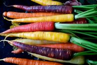 garecentraleresiliencealimentaire_carote.jpeg