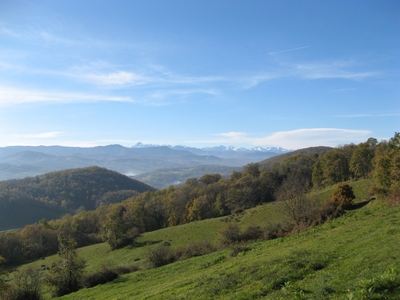 oasisdecardouech_top-vue.jpg