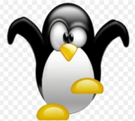 tuto2080_ping_linux_wiki.png