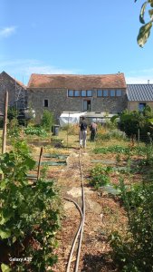 20260710_potager_canicule.jpg