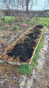 20260206_compost.jpg