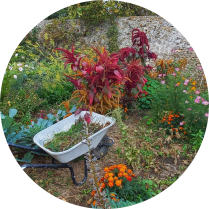 Prot&egrave;ge la biodiversit&eacute;