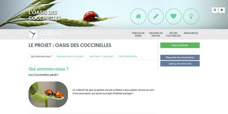 Coccinelles
Lien vers: https://colibris-wiki.org/coccinelle/