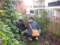 image IMG_0496.jpg (1.5MB)