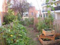 image IMG_0503.jpg (1.5MB)