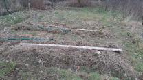 image Potager_20250219_1.jpeg (0.6MB)