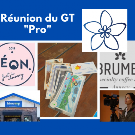 Réunion GT Pro