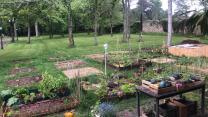 image Jardin_de_Chvreloup_1.jpg (0.3MB)