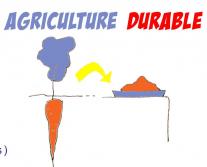 image agricultureDurable.jpg (47.5kB)