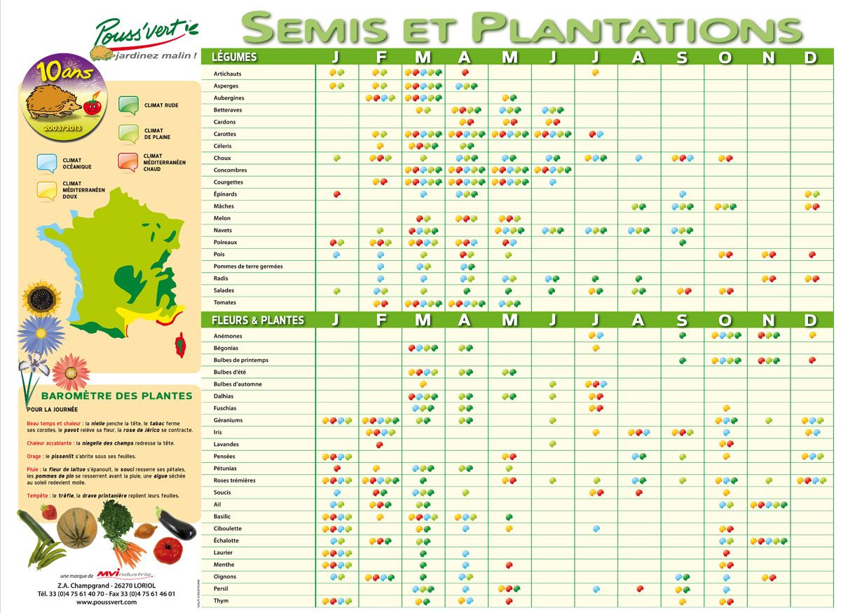 Une Folle Idée : CalendrierPlants Une Folle Idée : CalendrierPlants